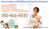 Reasonable South Edmonton Animal Hospital Image